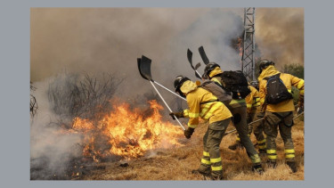 Heat, dryness fueled Iberian wildfires 40 times more likely: Study