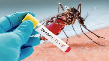 158 hospitalised with dengue in 24 hours