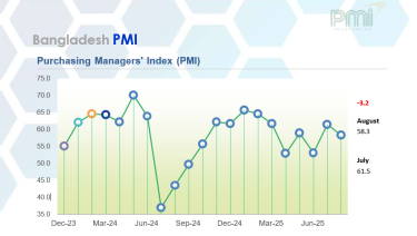 Economy grows for 11th month in August, but at slower pace: PMI
