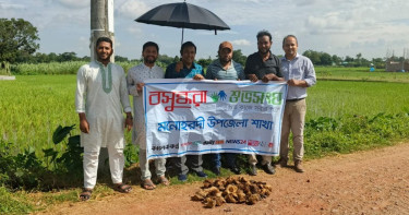 Palm seed plantation held to prevent fatalities from lightning strikes