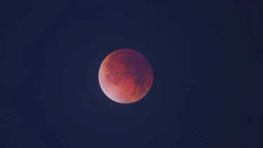 ‘Blood Moon’ captivates the nation
