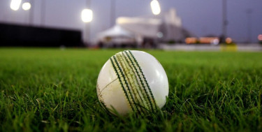 Well-known English cricket figure investigated over alleged drink spiking