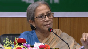 Adviser Farida warns over antibiotic overuse in livestock