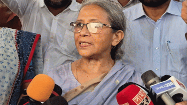Hilsa to be exported to India following repeated requests: Adviser