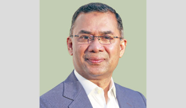 Tarique: Democracy can safeguard rights of animals, ecosystem