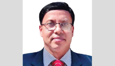 Impact of Potato Price Fixing