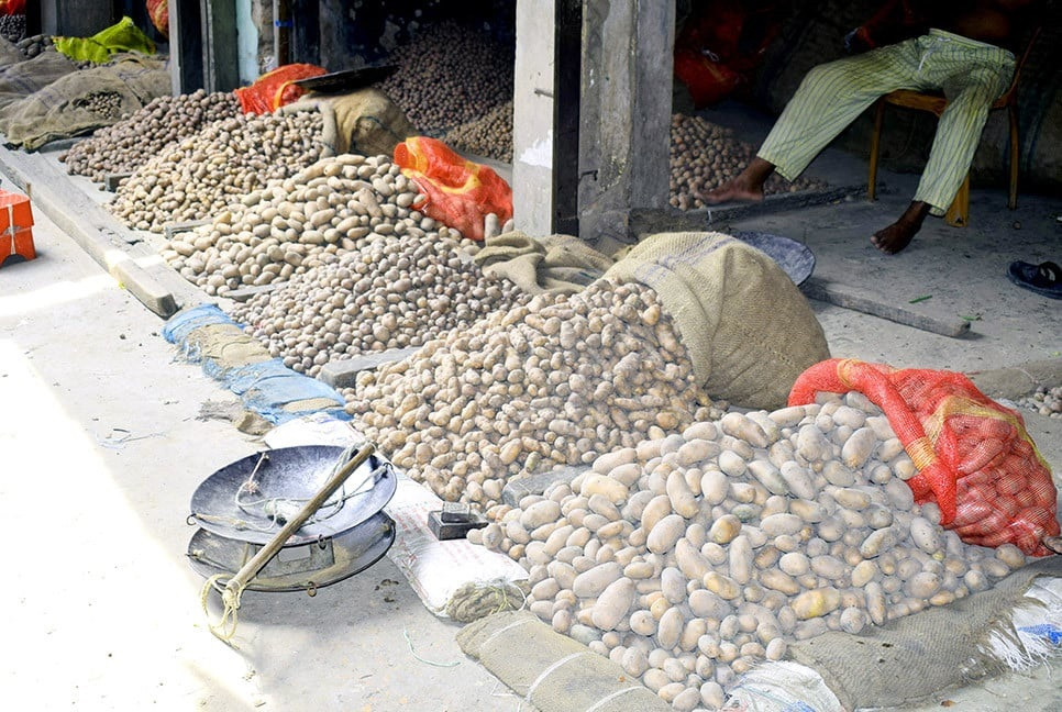 Potato farmers’ hopes in north fading fast amid price crash