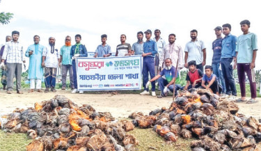 300 palm seeds planted along Satkhira’s Betna riverbank