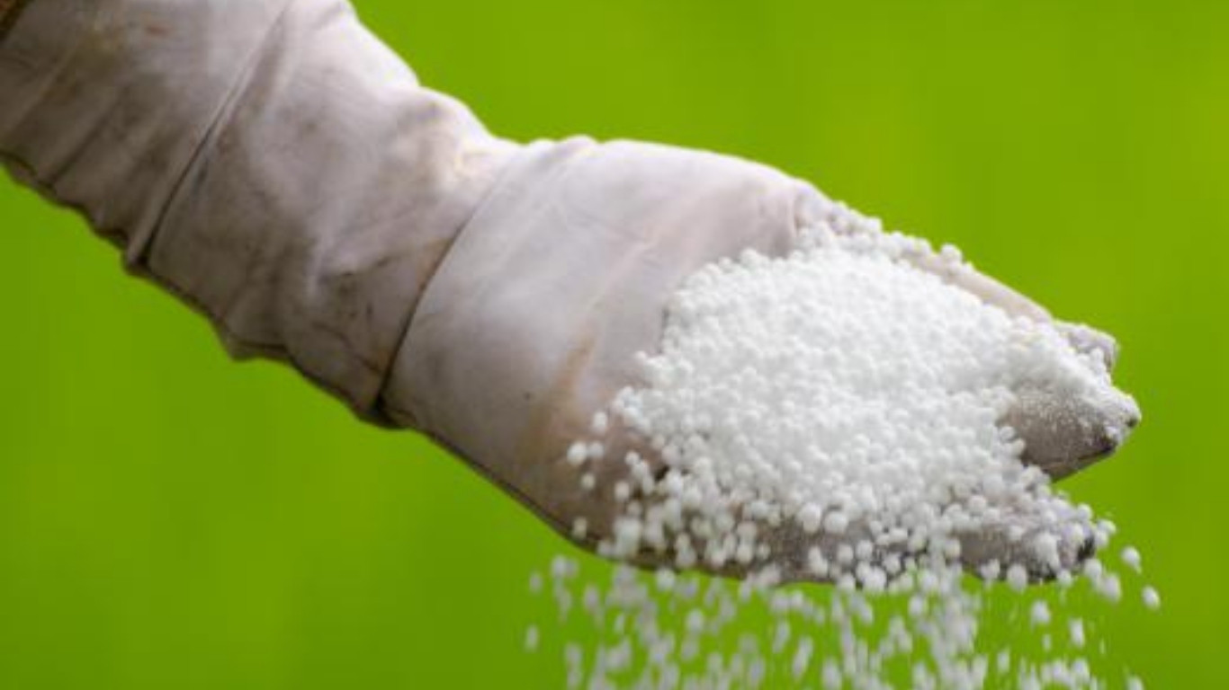Govt recommends urea fertiliser import from UAE company