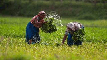 CIB charges on agri loans up to Tk2.5 lakh to be waived