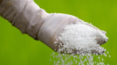 Govt recommends urea fertiliser import from UAE company