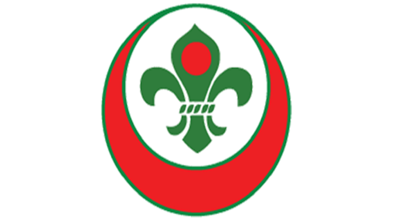 Ad-hoc Committee of Bangladesh Scouts leadership sparks debate
