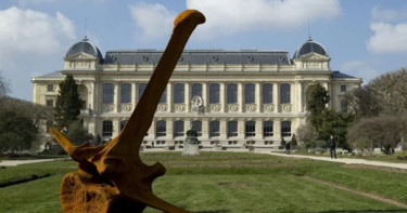 Gold worth 600,000 euros stolen in Paris museum heist