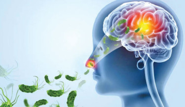 Battling a rare brain-eating disease in an Indian state