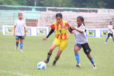 Thakurgaon crushes Khulna while Chapai Nawabganj beats Manikganj