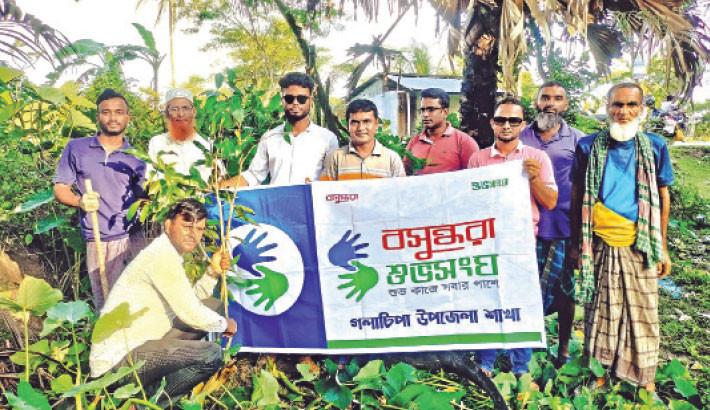 Fruit tree seedlings planted around Galachipa mosque