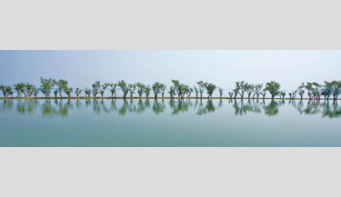 The tranquil waters of Tanguar Haor in Sunamganj, Sylhet mirror the serene beauty of this wetland paradise, offering a breathtaking reflection of nature’s charm. The photo, taken recently from the popular tourist spot, captures the calm and timeless allure that draws visitors year-round. 	-SM MOSTAFIJUR RAHMAN