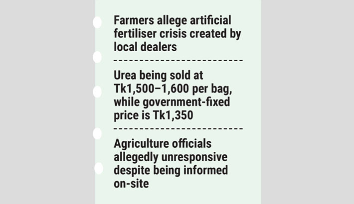 Artificial fertiliser crisis inflates prices in Teknaf