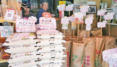 Japan inflation slows in August, rice price surges ease