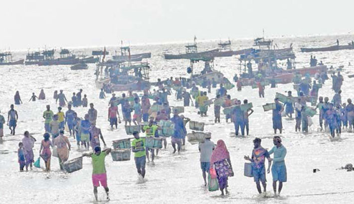 Why hilsa is disappearing from menu of the middle class?