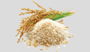 Rice prices in Dinajpur drop by
Tk3-4 per kg