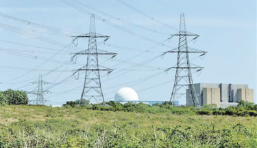 Nuclear projects seen slowing after record 2024 output: Report