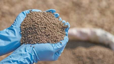 35,000 mts fertiliser import from Russia gets govt nod
