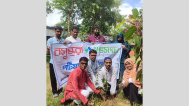 Shuvosangho organises tree plantation programme