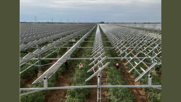 China enlists solar panels in war to halt desert sands
