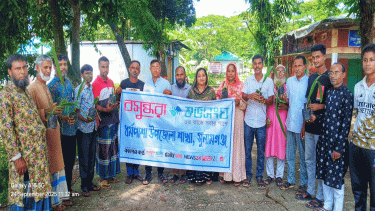 Palm saplings, seeds distributed to prevent lightning in Sunamganj