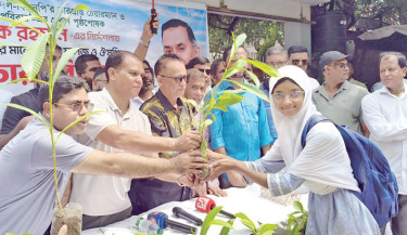 Amra BNP Poribar, a platform of BNP, distribute saplings at Siraj Mia Memorial Model School in the capital on Thursday, following instructions from the party’s acting chairman Tarique Rahman.  - DAILY SUN PHOTO