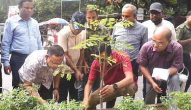DSCC launches road median greening campaign