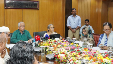 Special drive to protect mother hilsa 4-25 Oct: Farida