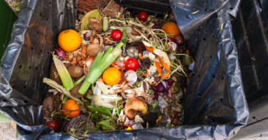 Bangladesh wastes 21 million tonnes of food annually: Adviser