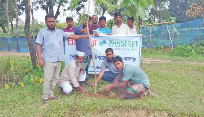 Tree plantation at Dowarabazar: Students, teachers, locals join hands for greener future
