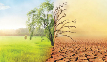 Experts for long-term framework to battle Climate Change impacts