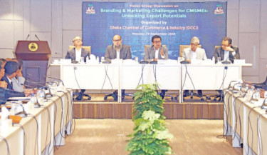 Strong branding, compliance key to CMSME export growth: DCCI