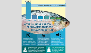 Hilsa catch drops 10% in 5 years, govt launches 22-day fishing ban