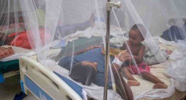 Dengue claims 3 more lives; 556 hospitalised in 24hrs