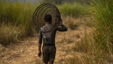 India's hidden crisis of sexual violence against boys