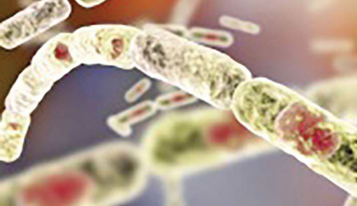 Anthrax cases reach 17 in Rangpur