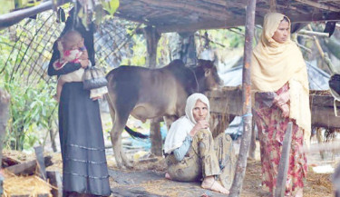 Rangpur VWB card scheme marred by irregularities