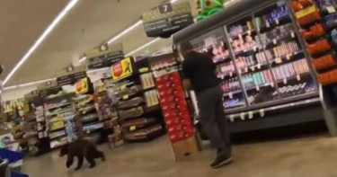 Bear enters grocery store, runs around for a few minutes