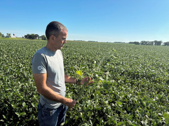 US soybean farmers, deserted by big buyer China, scrambles for importers from Nigeria to Bangladesh