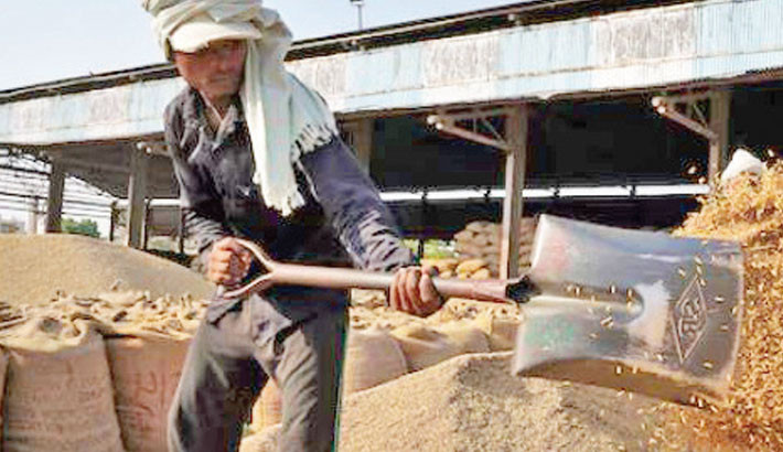 India allows exports of de-oiled rice bran after two-year ban