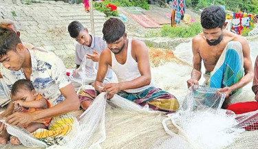 2,936 fishermen in Khulna to receive VGF rice during hilsa ban