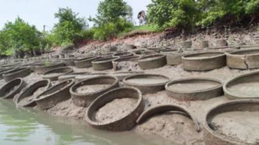 Sundarbans: Terracotta rings offer hope against rising seas