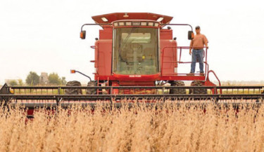 US soybean farmers brace for losses as Trump plans new aid amid China boycott