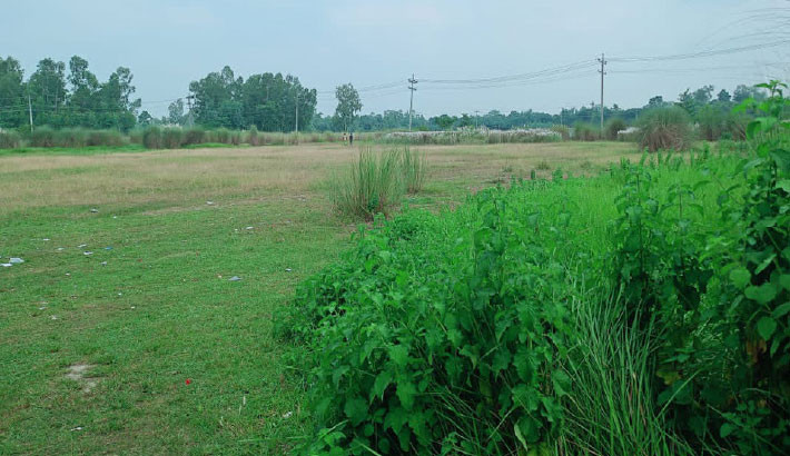 Tk38cr women’s sports complex turns into grazing ground!