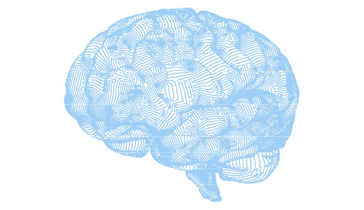 From Sci-Fi to Reality: Mini Brains Could Power Tomorrow’s Computers